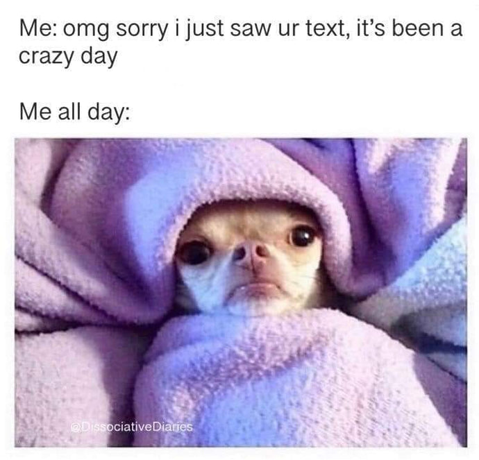 Sorry 😂