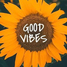 Good vibes only🌻