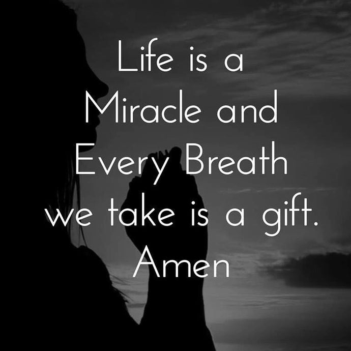 Miracle ✨