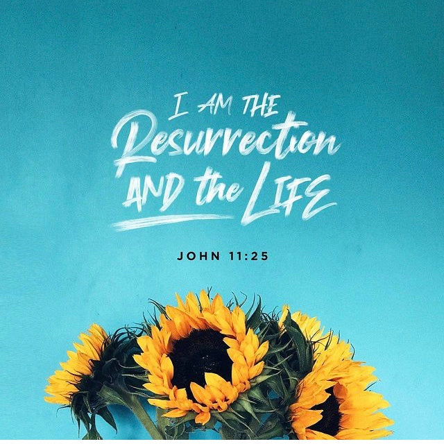 And the life 🌻