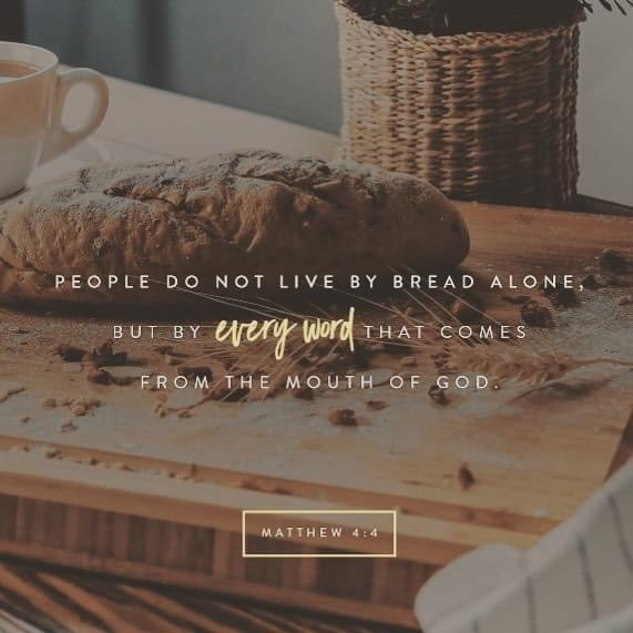 Every word ✨